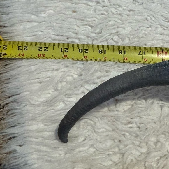 Velociraptor Dinosaur 2014 Blue Gray Rubber Preowned. 22” - Picture 5 of 6